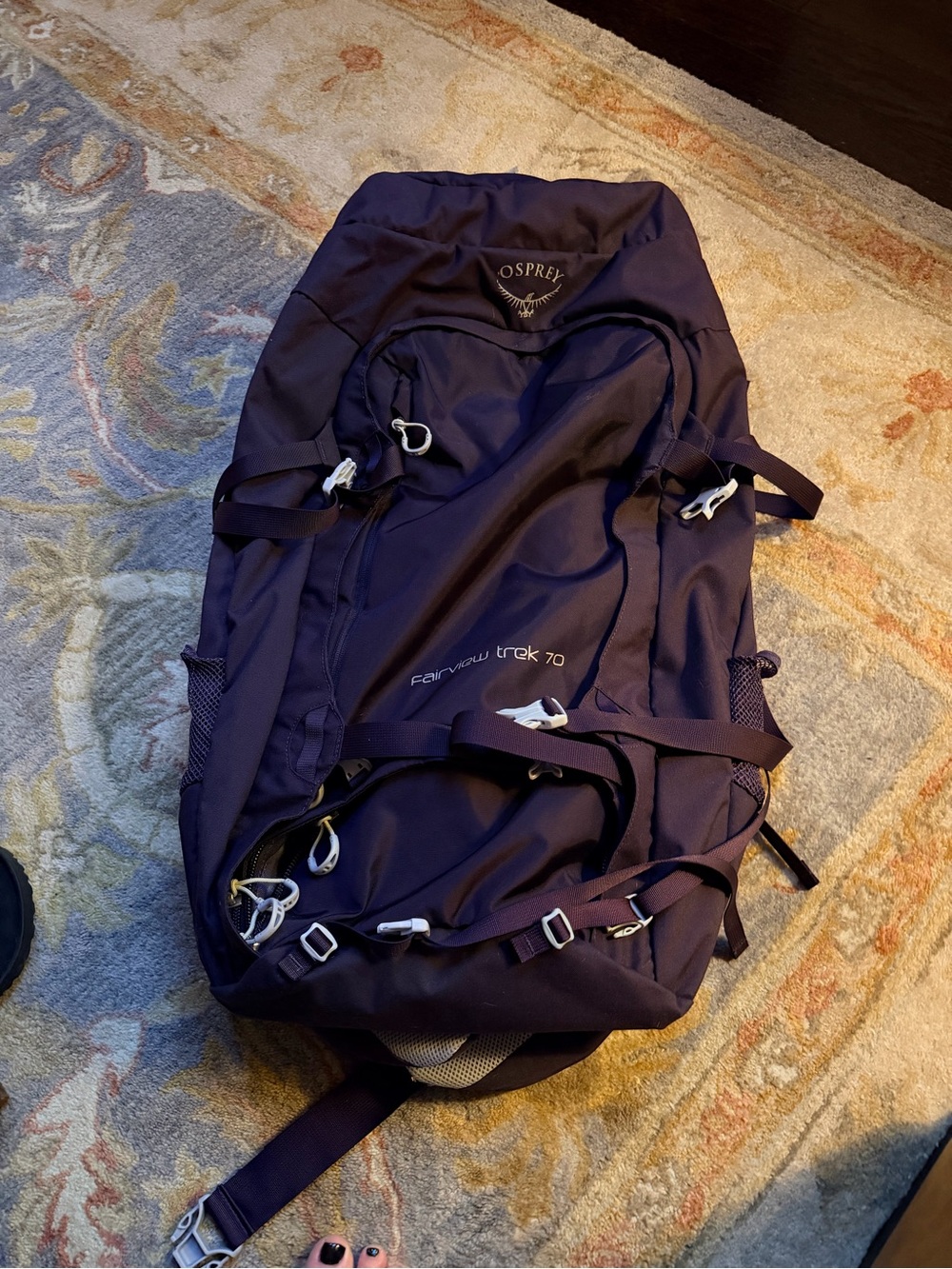 Osprey Fairview Trek 70 Women's Purple Travel Backpack